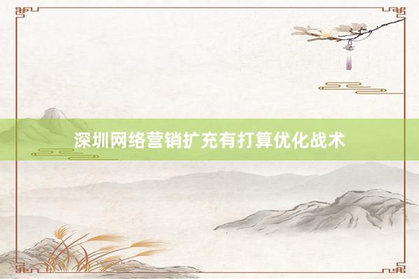 深圳网络营销扩充有打算优化战术