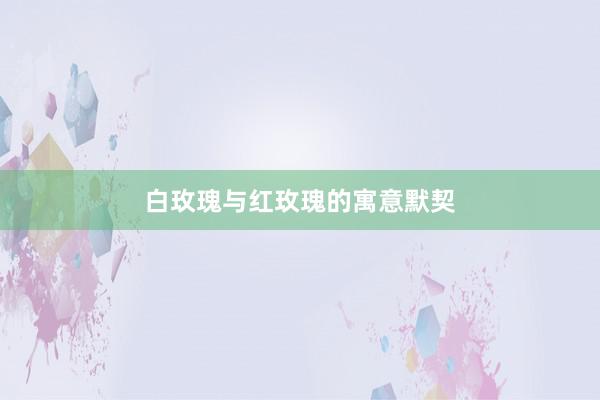 白玫瑰与红玫瑰的寓意默契