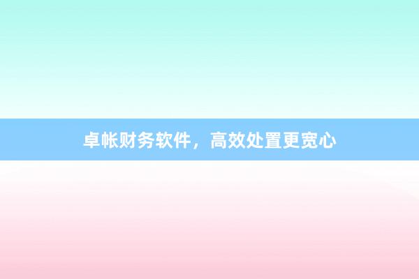 卓帐财务软件，高效处置更宽心
